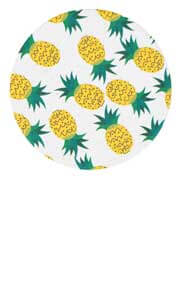 りっぷうや 珪藻土コースター Fun Fruit Pineapple